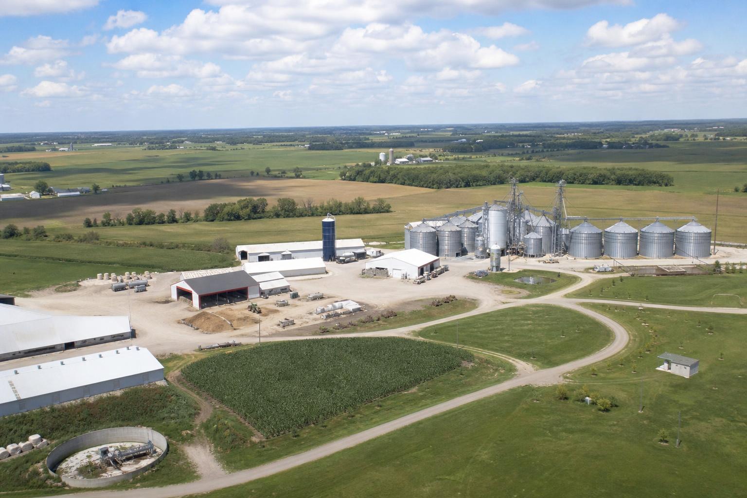 Wisconsin Grain and Input Market: Navigating Summer Crop Progress and Structural Shifts