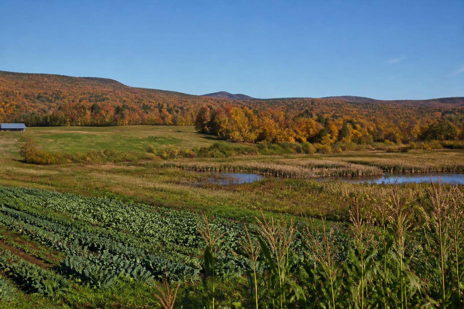 Vermont Agribusiness Adapts to New Environmental Rules, Policy Shifts, and Trade Risks