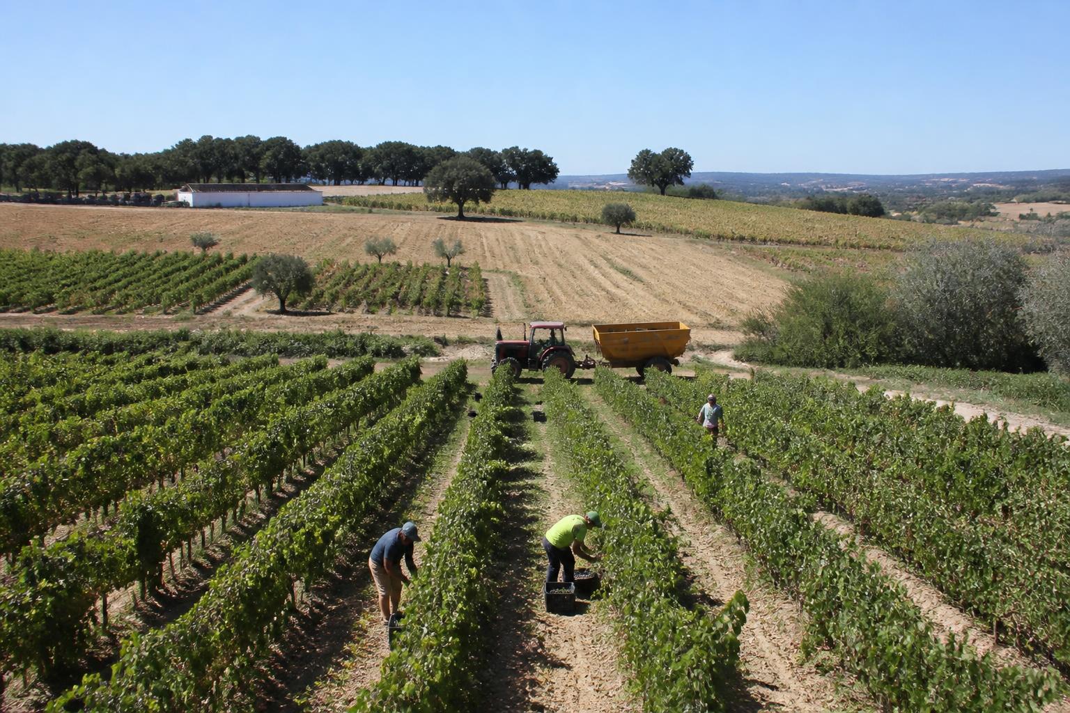 New Hampshire Fertilizer Market: Navigating Input Costs and Evolving Soil Standards