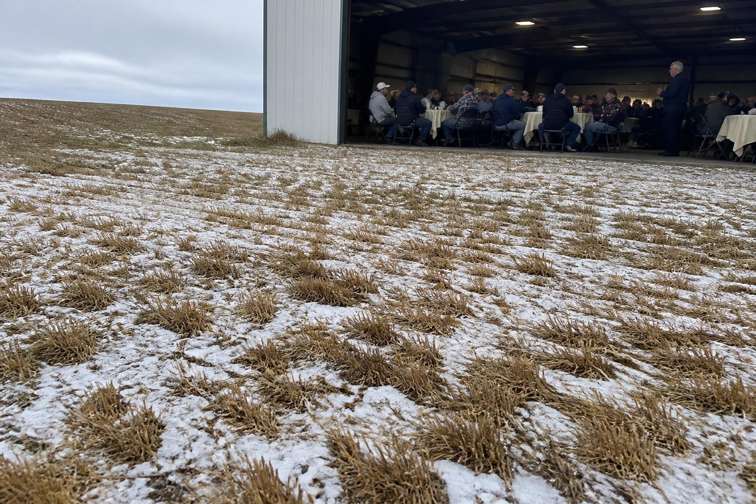 Washington Fertilizer Market: Navigating Margin Squeezes and Nutrient Efficiency