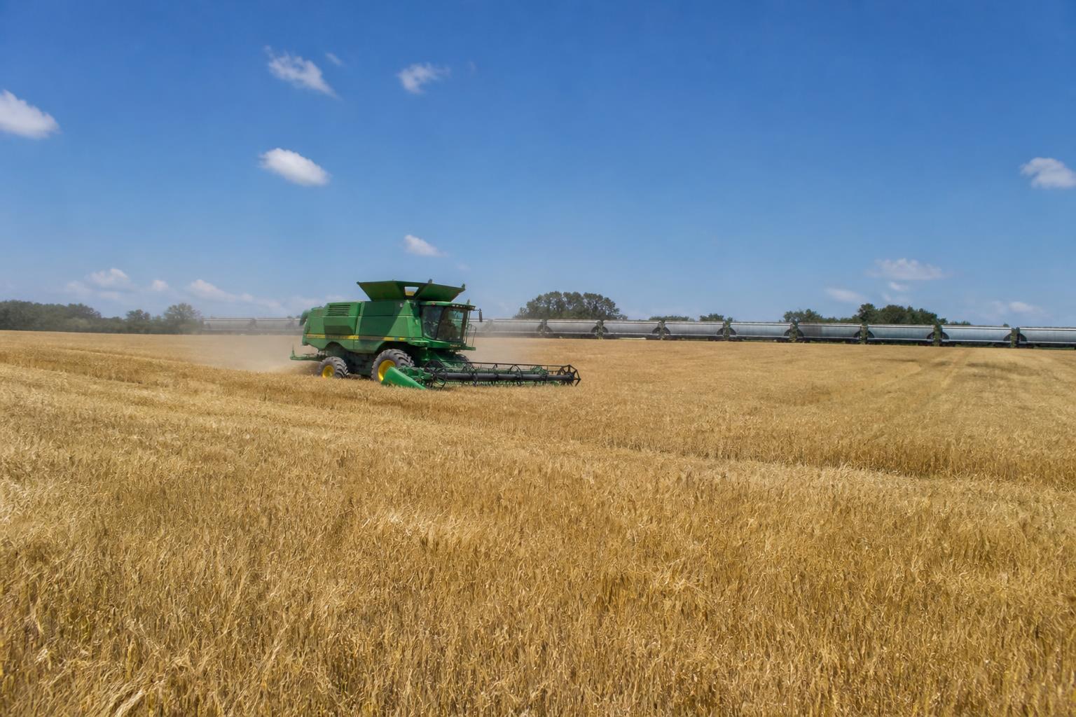 Kansas Rail Upgrades and Market Pressures: What Grain Shippers Need to Know This Summer