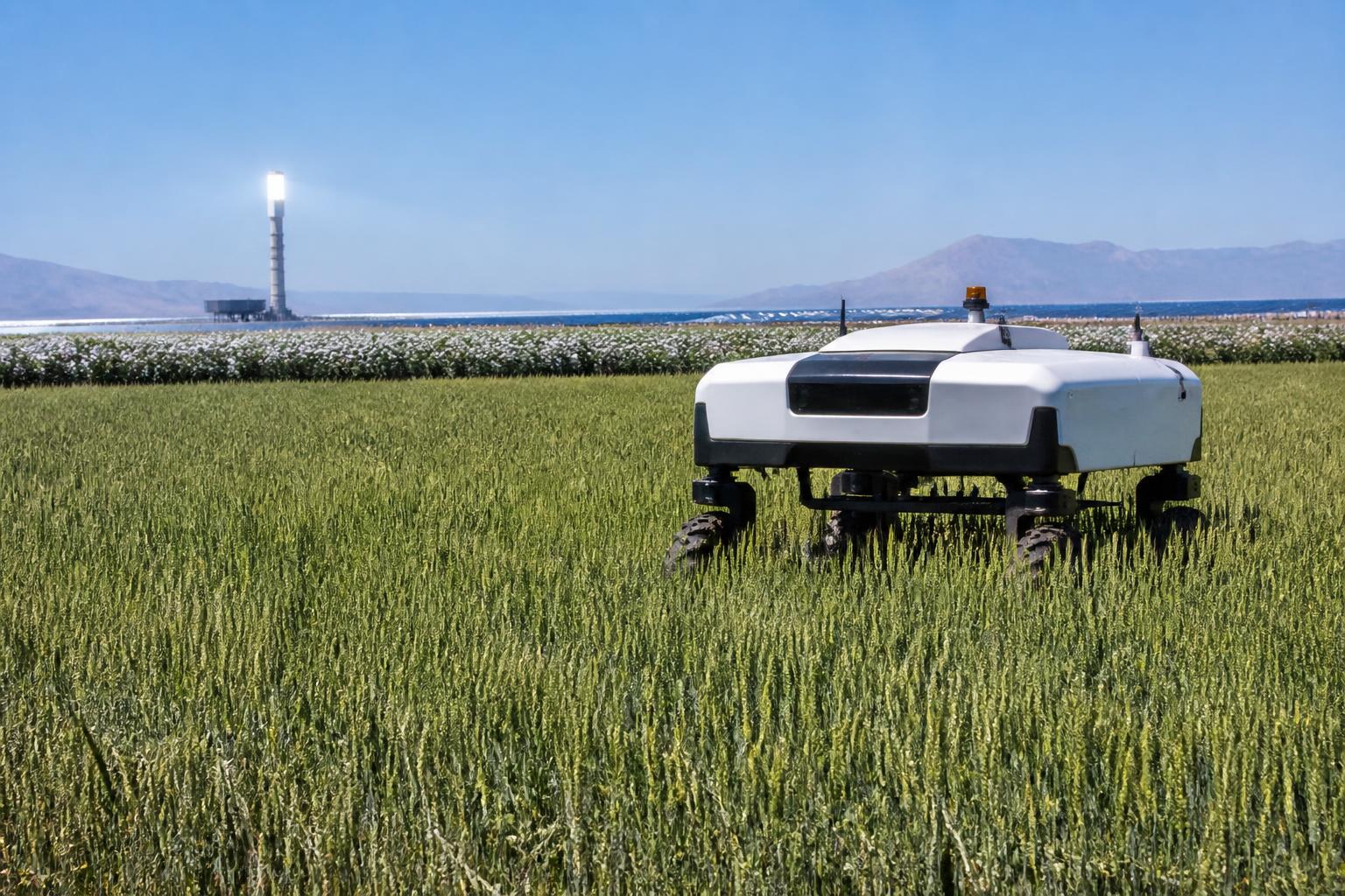 亚利桑那沙漠农业：在六月炎热中最大化肥料效率 - AgroPost