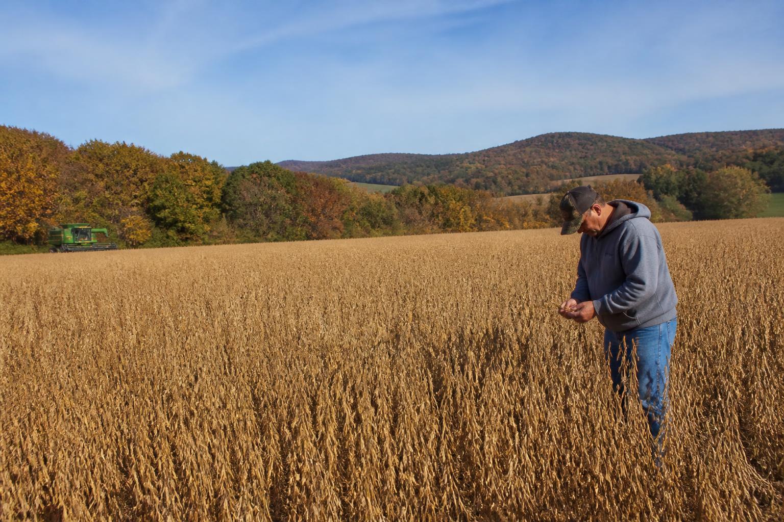 Navigating Fall Market Volatility: A Strategic Look at Oklahoma Grain Operations - AgroPost