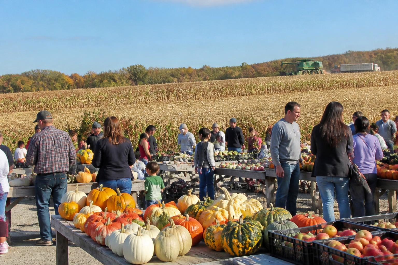 Maryland Harvest Logistics: Navigating Transit and Infrastructure Constraints - AgroPost