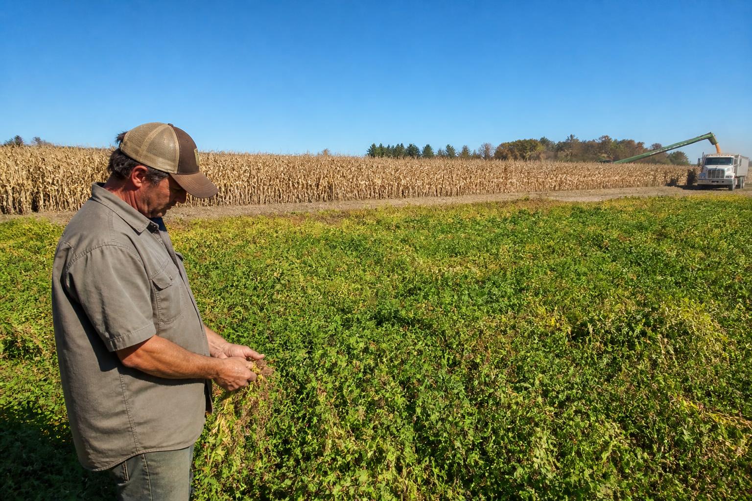 Perspectiva de cosecha en Carolina del Sur: Equilibrando el potencial de rendimiento y los costos ascendentes - AgroPost