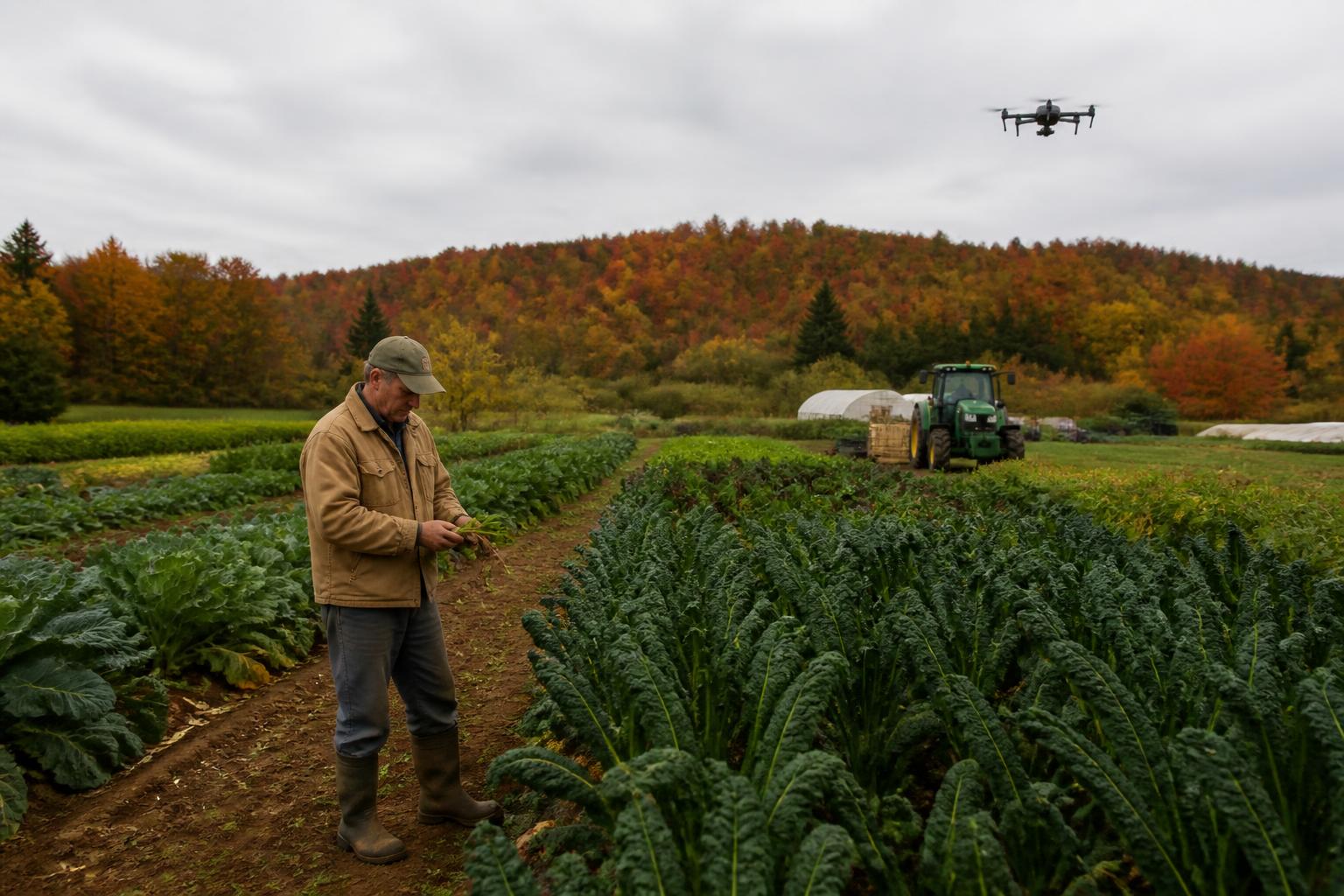 Maine Grain Producers Navigate Evolving Supply and Cost Challenges - AgroPost