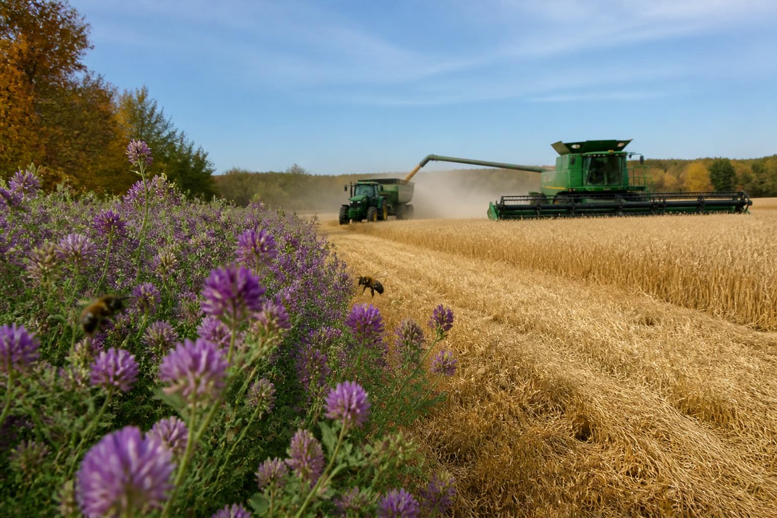 Fall Outlook: Enhancing Crop Protection and Input Management in Nevada - AgroPost