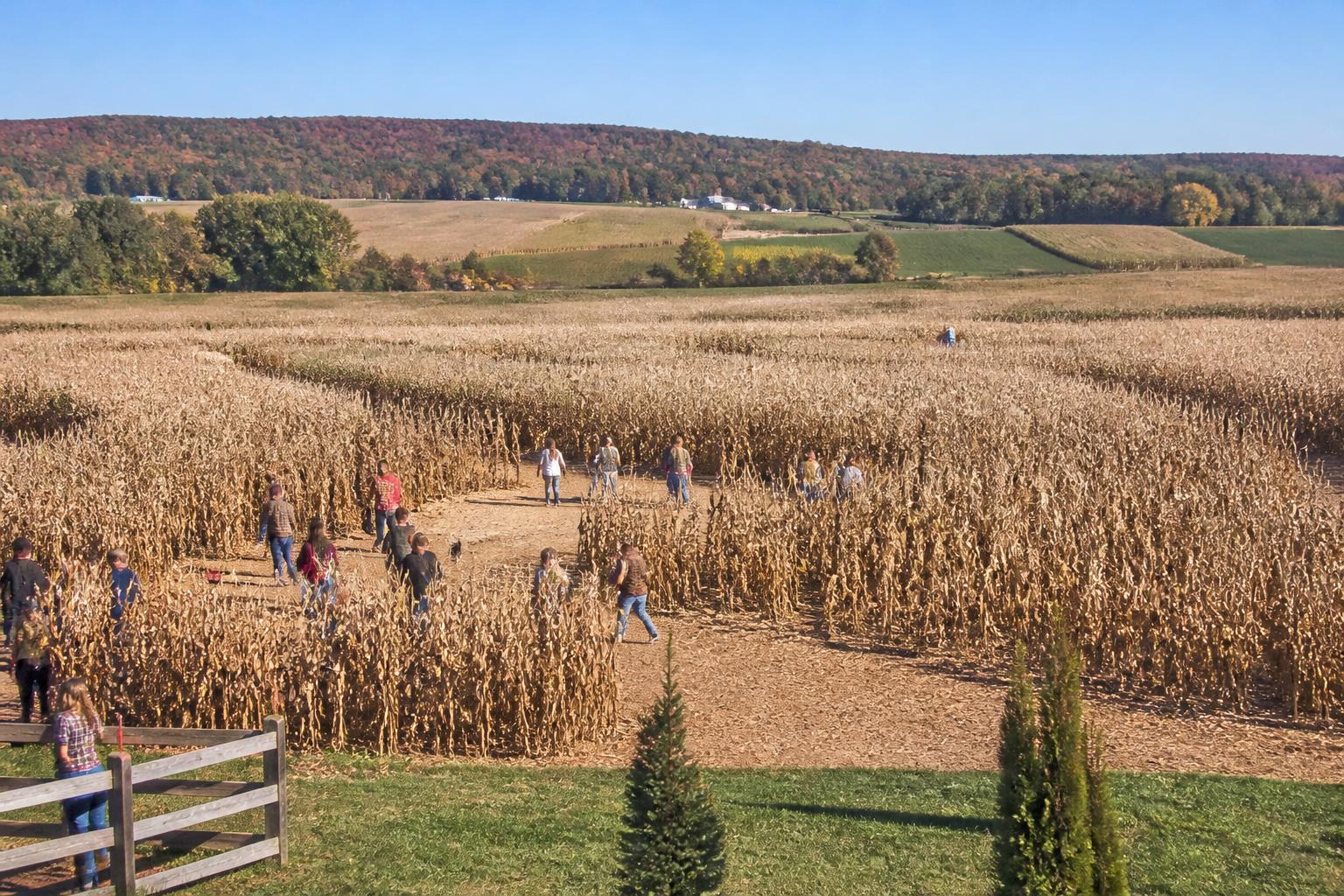 Pennsylvania Agricultural Update: Navigating Seasonal Pressures and Strategic Planning - AgroPost