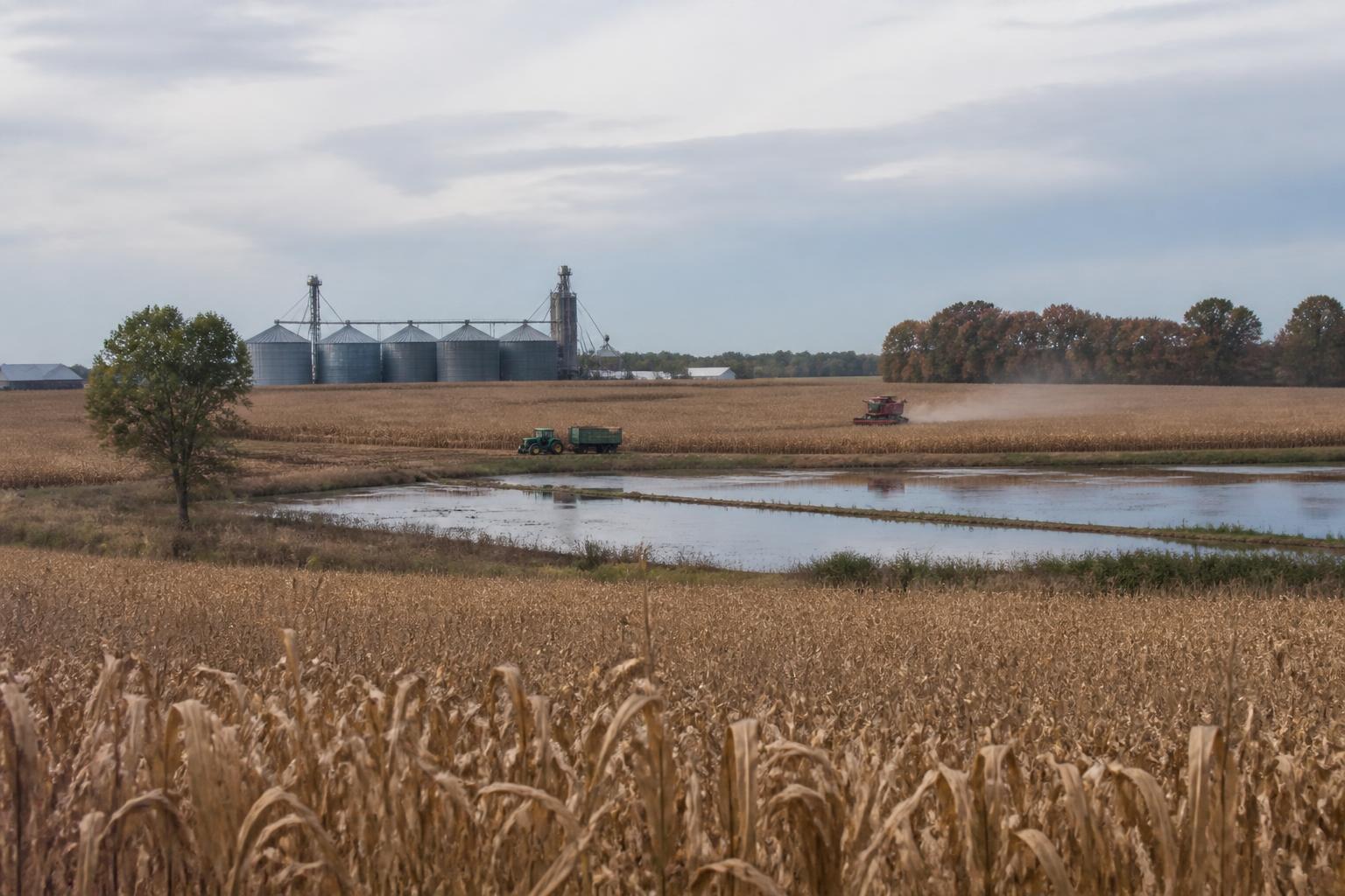 Louisiana Grain Market Update: Regional Shifts in Handling and Logistics - AgroPost