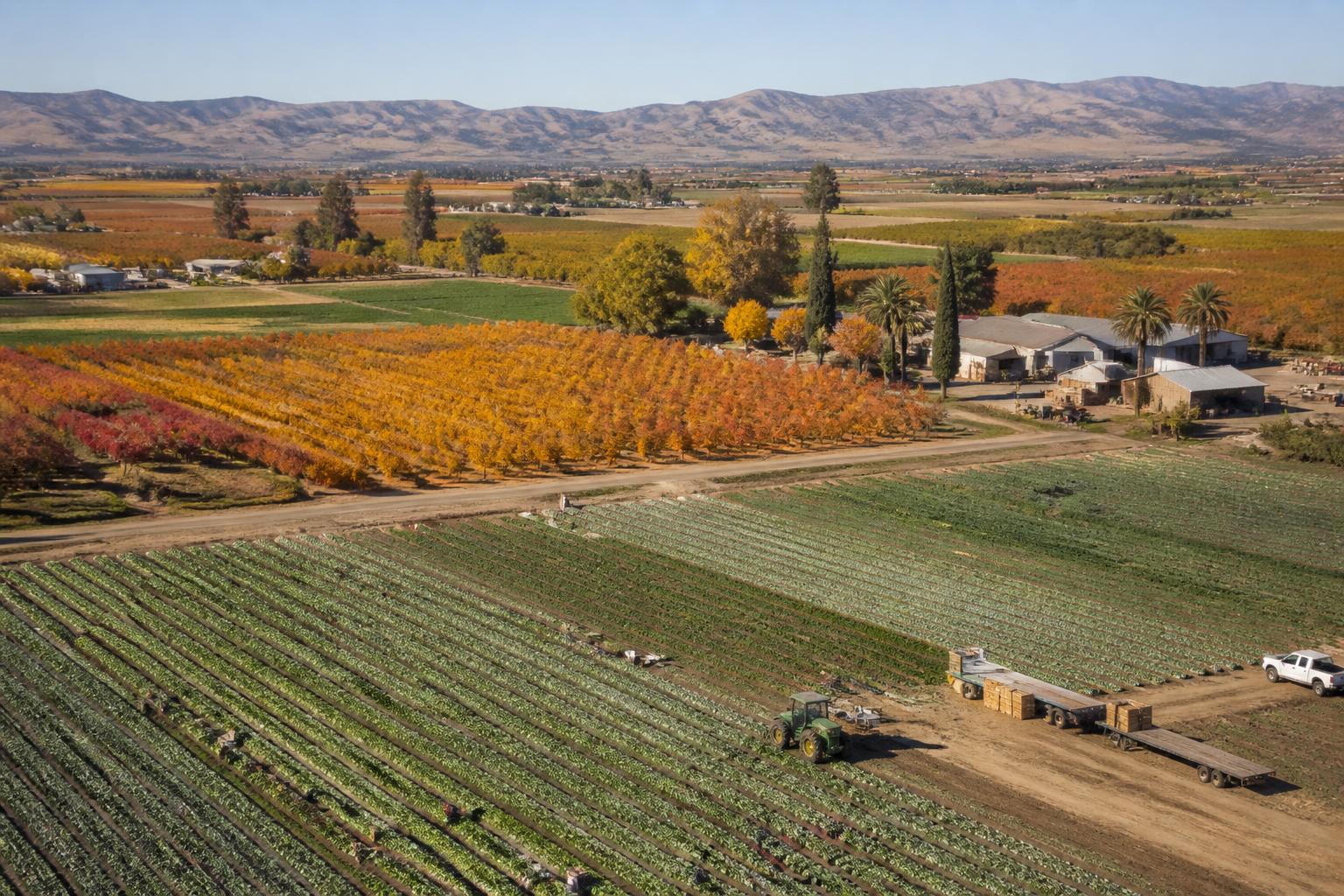 Navigating California Logistics: Preparing for Fall Harvest Pressures - AgroPost