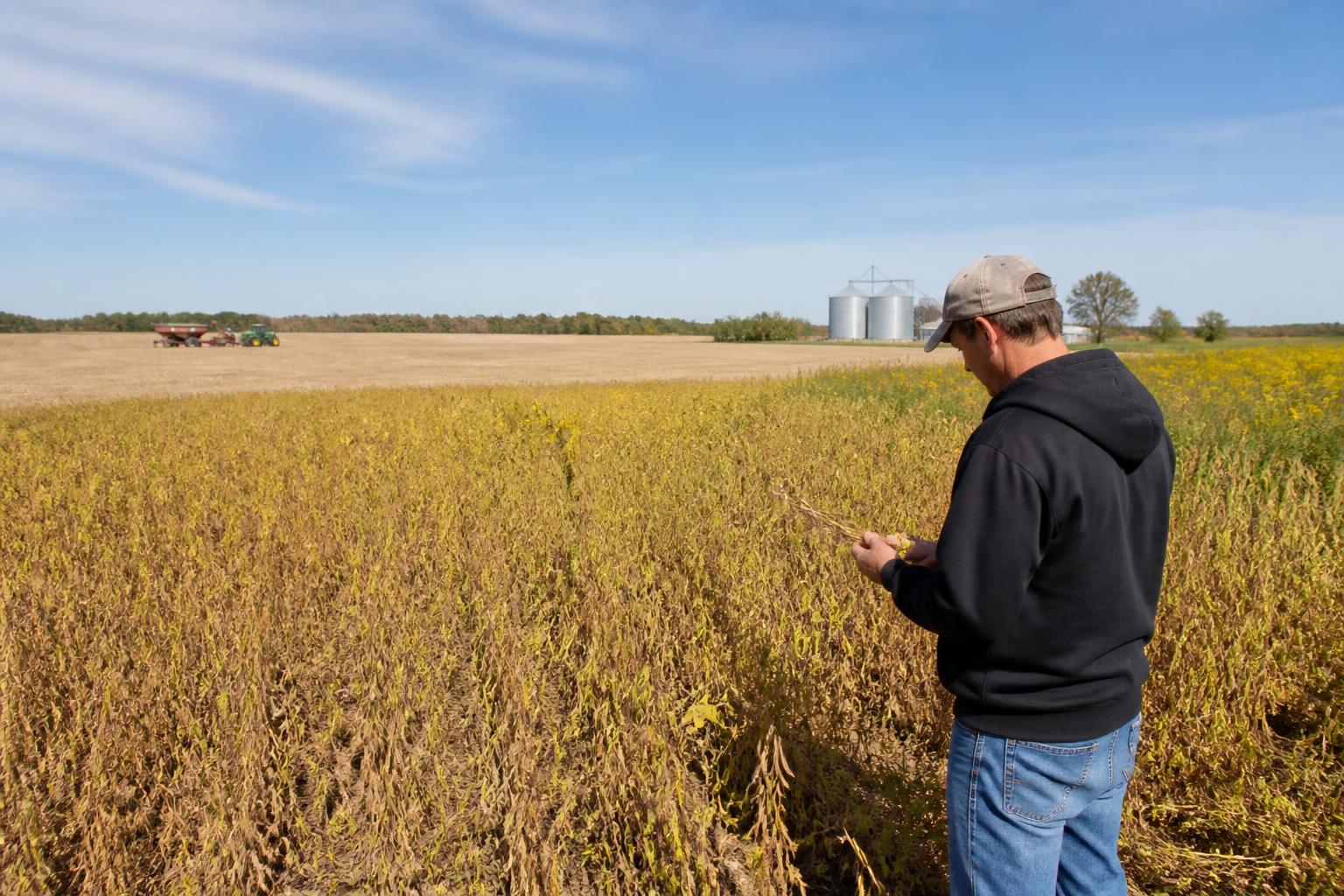 Oklahoma Producers Navigate Market Uncertainty and Input Challenges - AgroPost