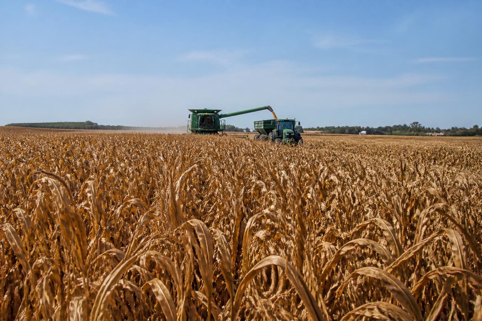 Navigating Wisconsin Grain Logistics Amidst Volatile Fuel Costs and Shifting Moisture Conditions - AgroPost