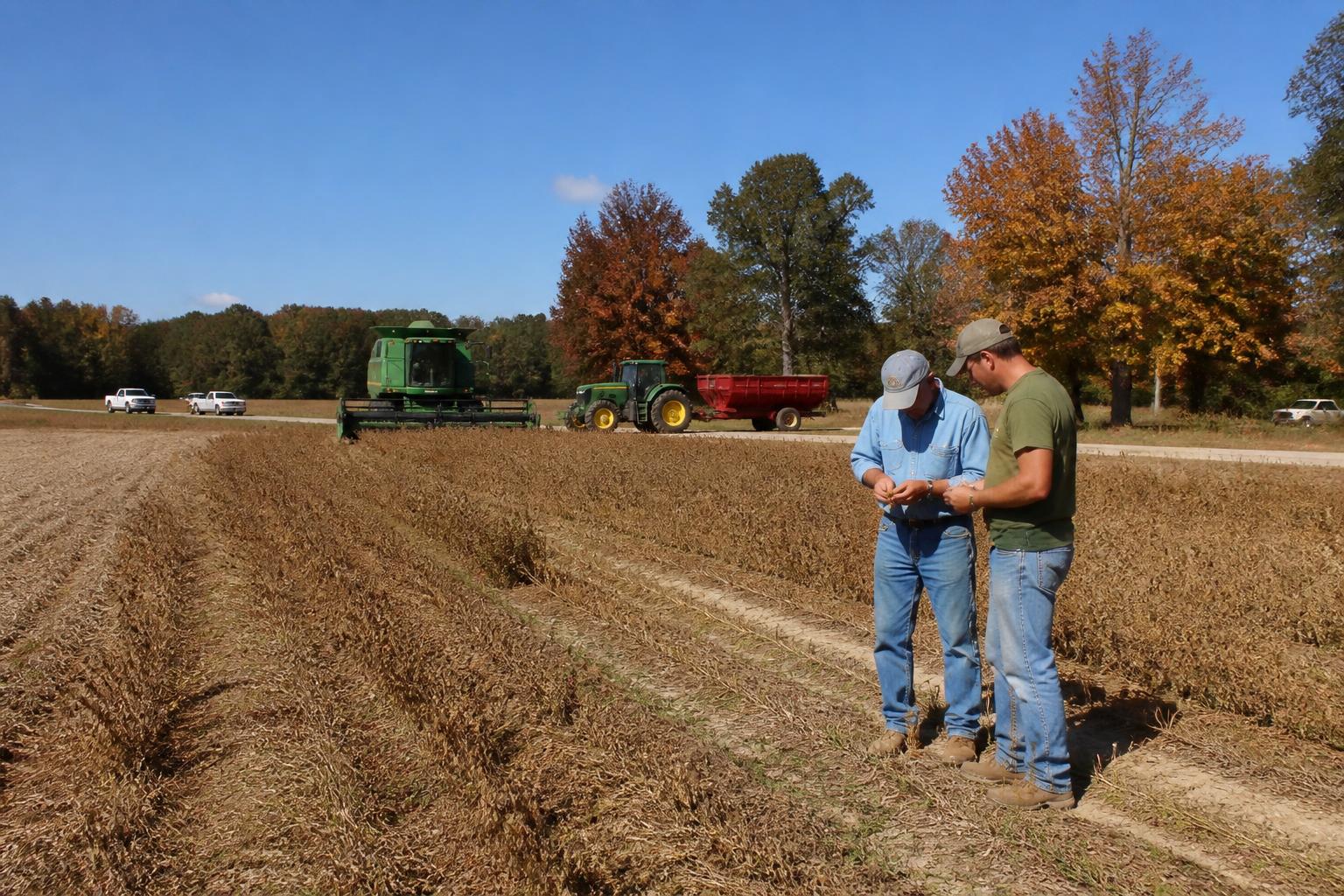 South Carolina Harvest Outlook: Navigating Seasonal Logistical Hurdles - AgroPost