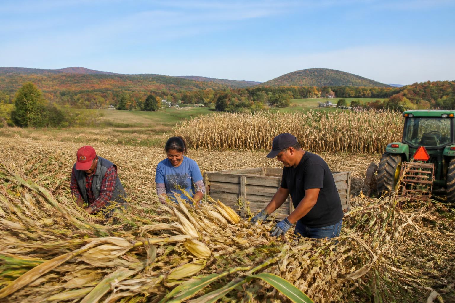 Logística Agrícola de Vermont: Adaptándose a las Demandas del Mercado en Evolución - AgroPost