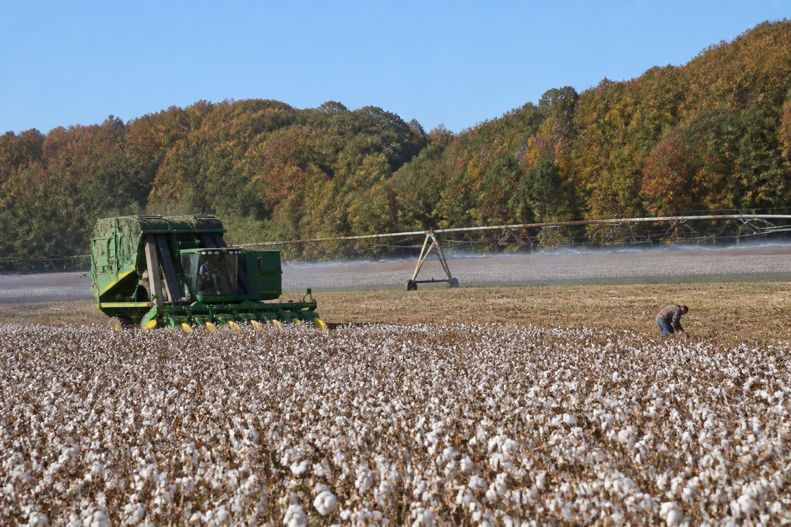 Alabama Grain Storage: Preparing for a Successful Fall Harvest - AgroPost