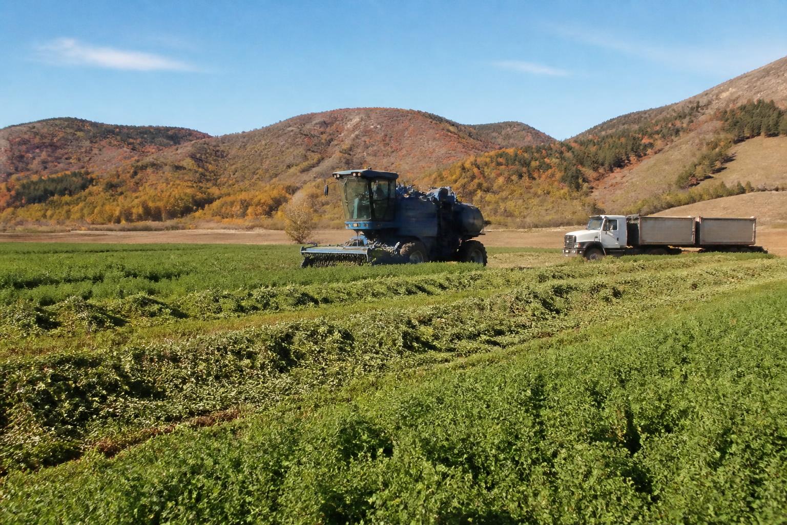 Arizona Agriculture Outlook: Balancing Seasonal Harvests and Operational Headwinds - AgroPost