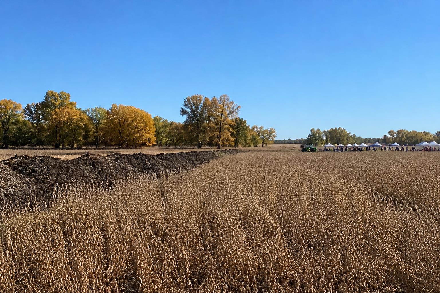 Massachusetts Agriculture: Strengthening Resilience Against Wildlife and Land Loss - AgroPost