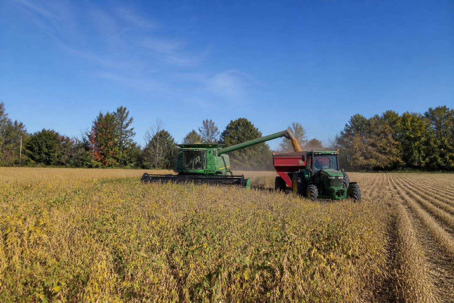 Indiana Grain Market Watch: Managing Early Fall Logistics and Field Variability - AgroPost
