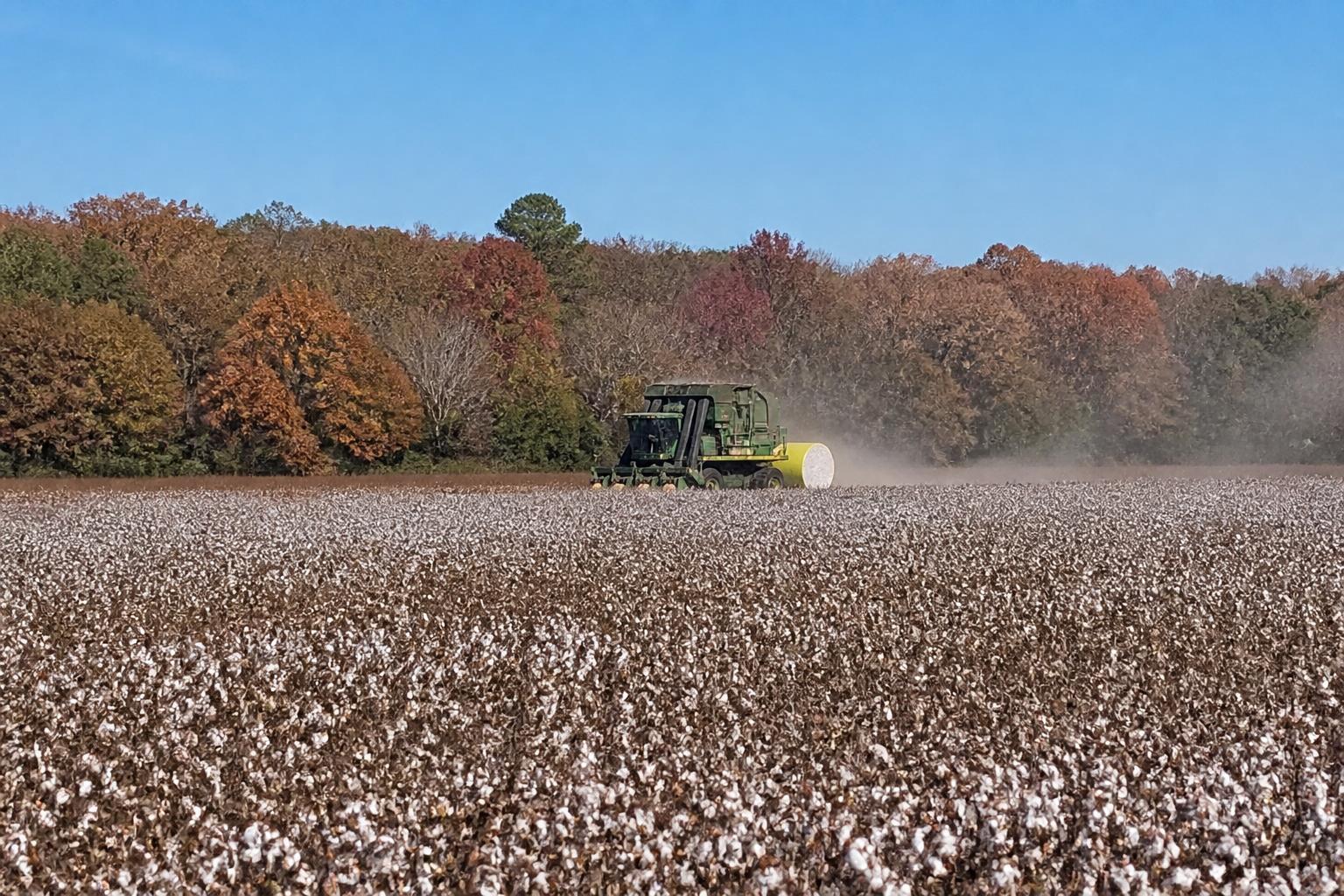 Virginia Supply Chain Update: Logistics and Infrastructure Outlook for Fall - AgroPost