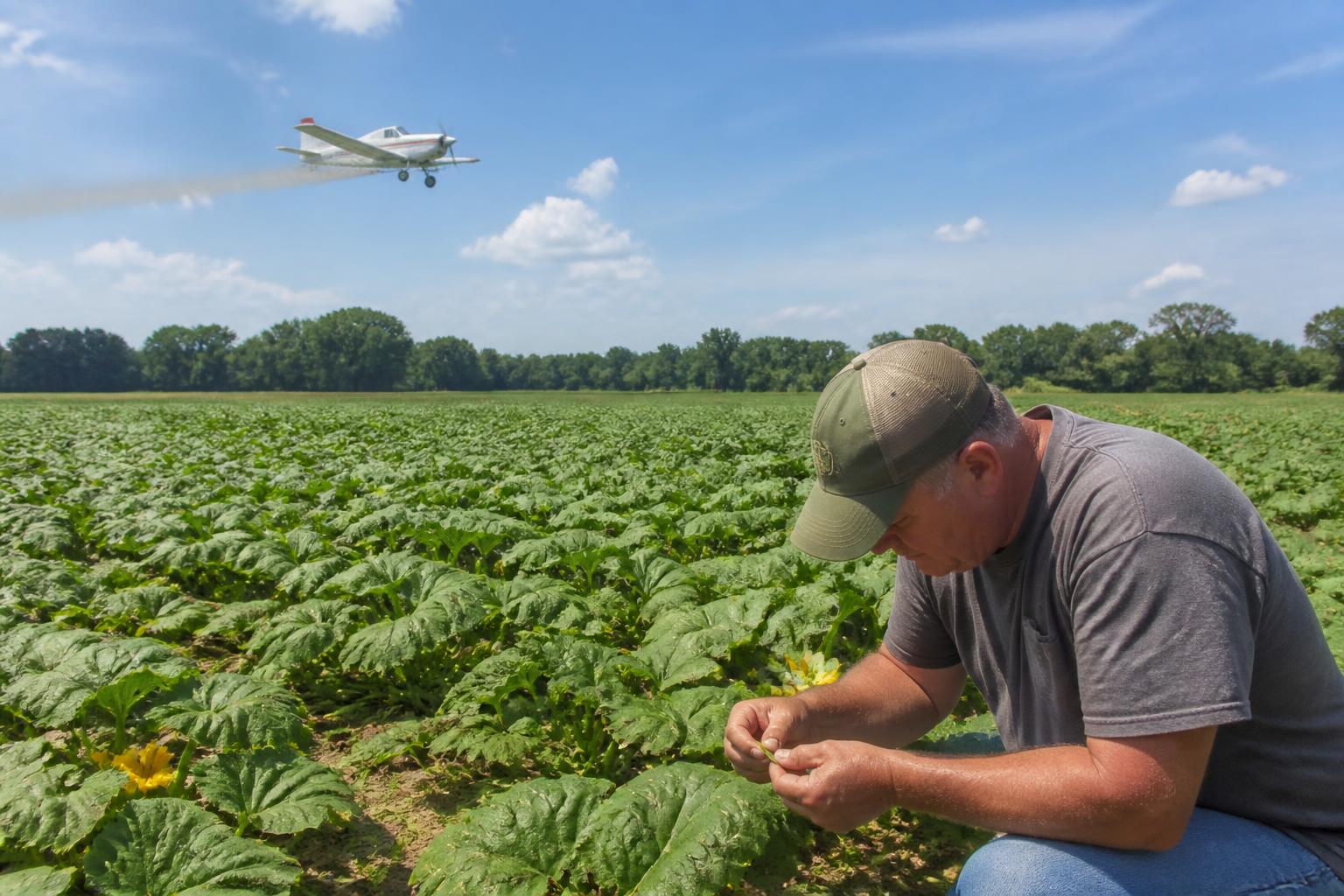 New Jersey Agribusiness Update: Navigating Invasive Species Regulations and Tech Security This Summer