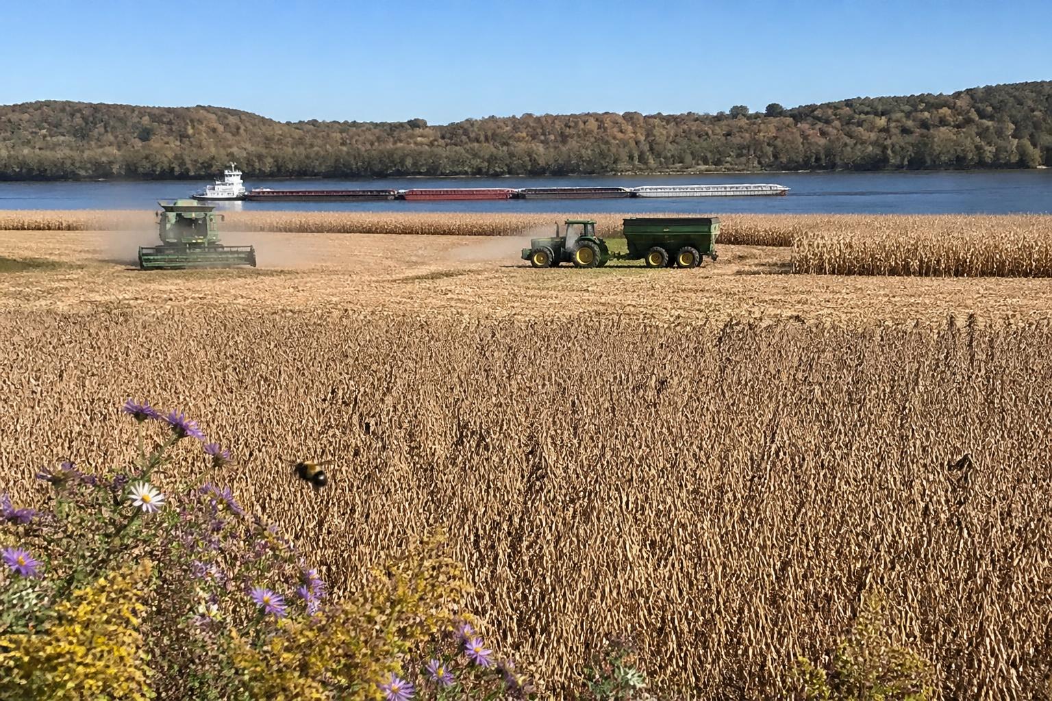 Fall Outlook: Enhancing Protective Measures for Mississippi Crop Logistics - AgroPost