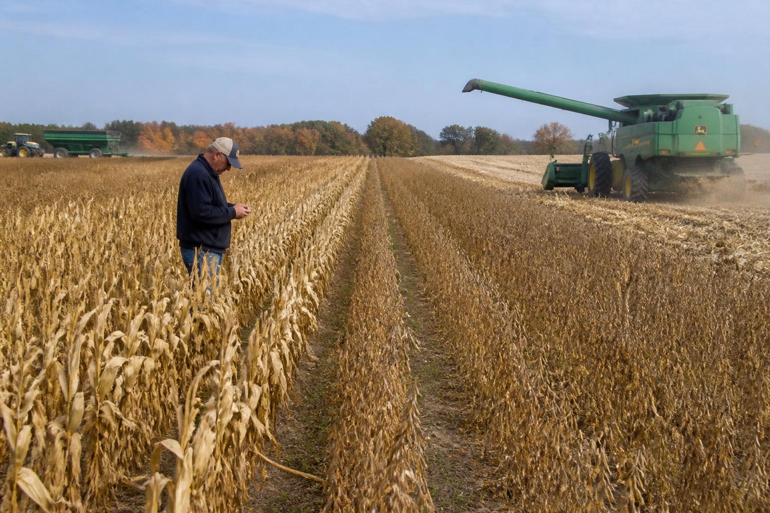 Productores agrícolas de Nebraska navegando presiones del mercado otoñal y cambios en la cadena de suministro