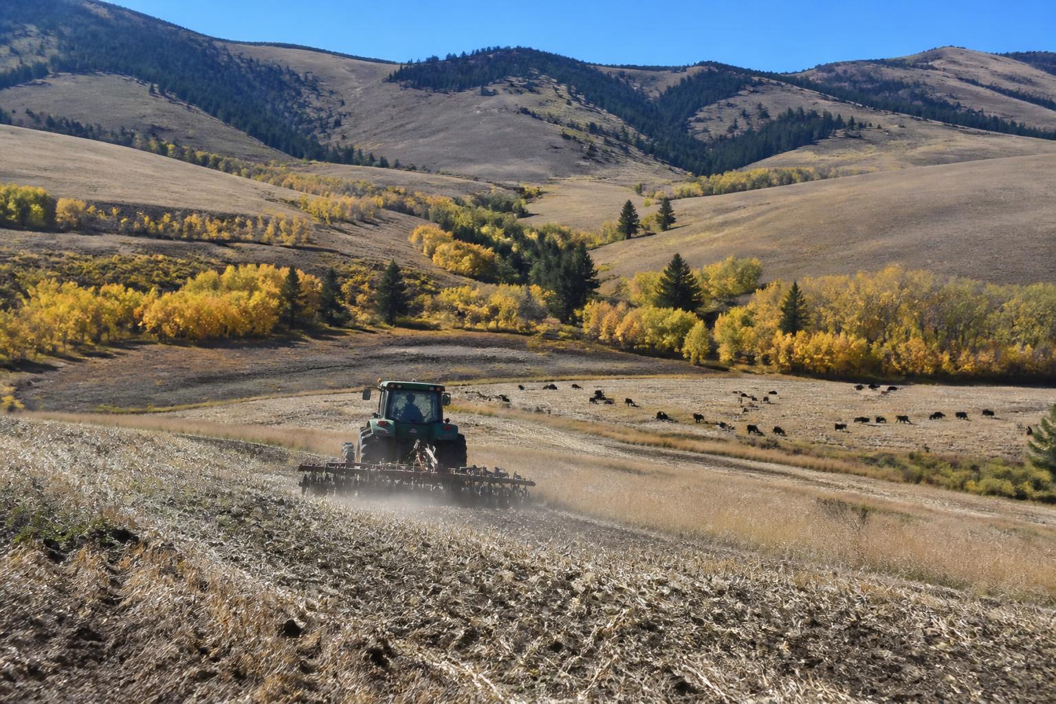 Navigating Regulatory and Operational Shifts in Idaho Agriculture - AgroPost