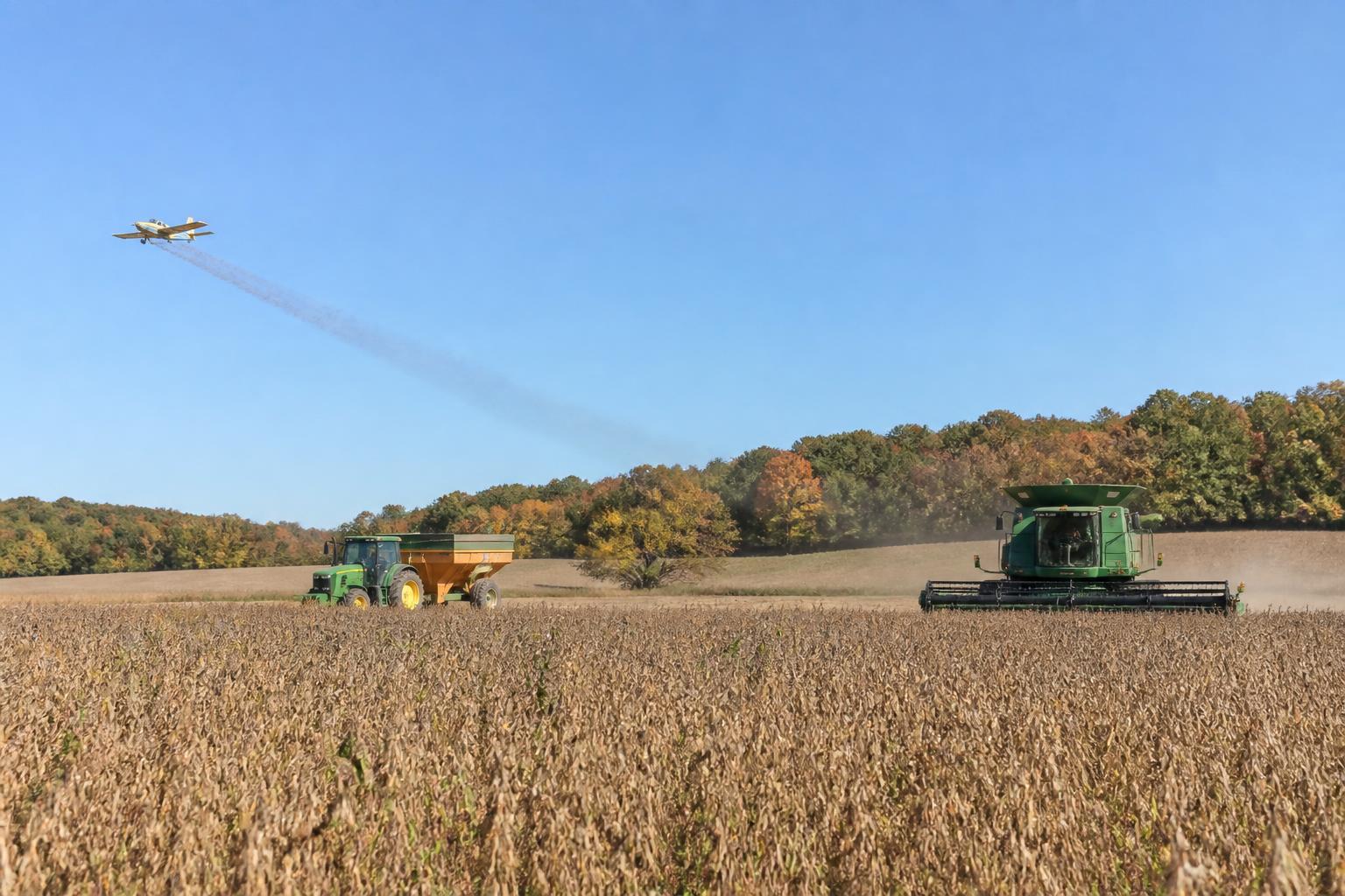 Perspectivas de Granos en Washington: Navegando Cambios en Exportaciones y Preparativos Estacionales - AgroPost