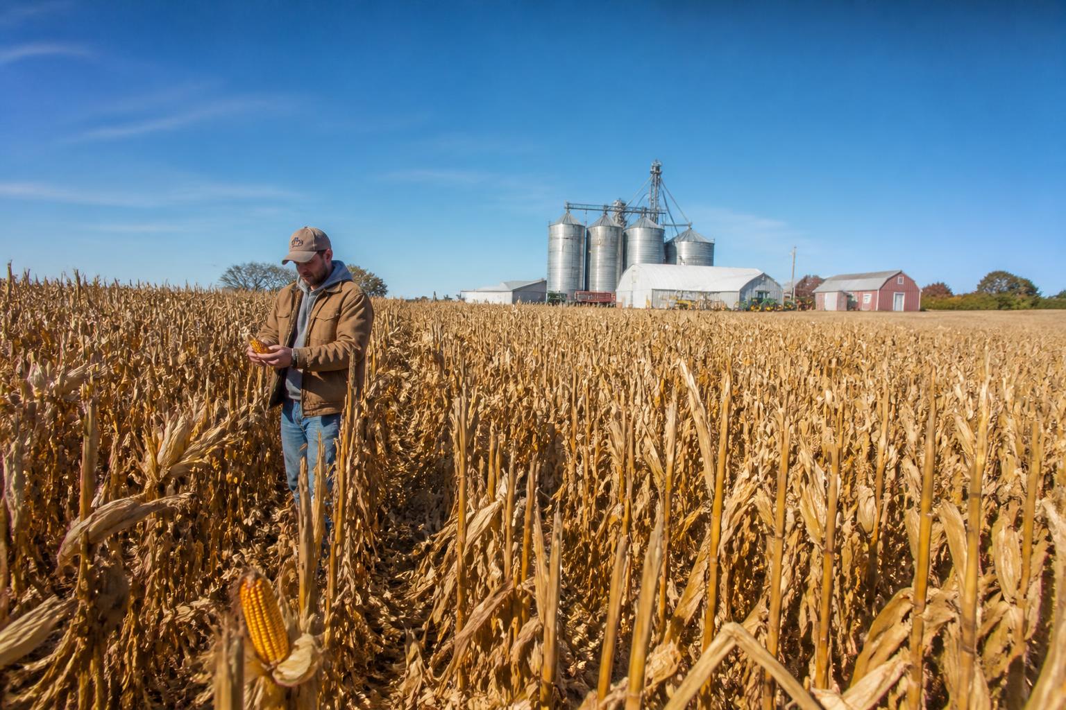 Agricultura de Utah: Navegando Costos de Insumos y Resiliencia del Mercado Regional - AgroPost