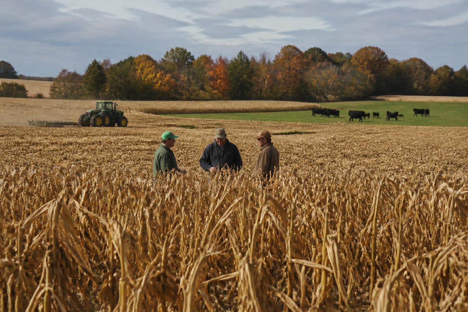 Missouri Crop Protection: Navigating Volatile Input Costs and Modern Weed Control - AgroPost