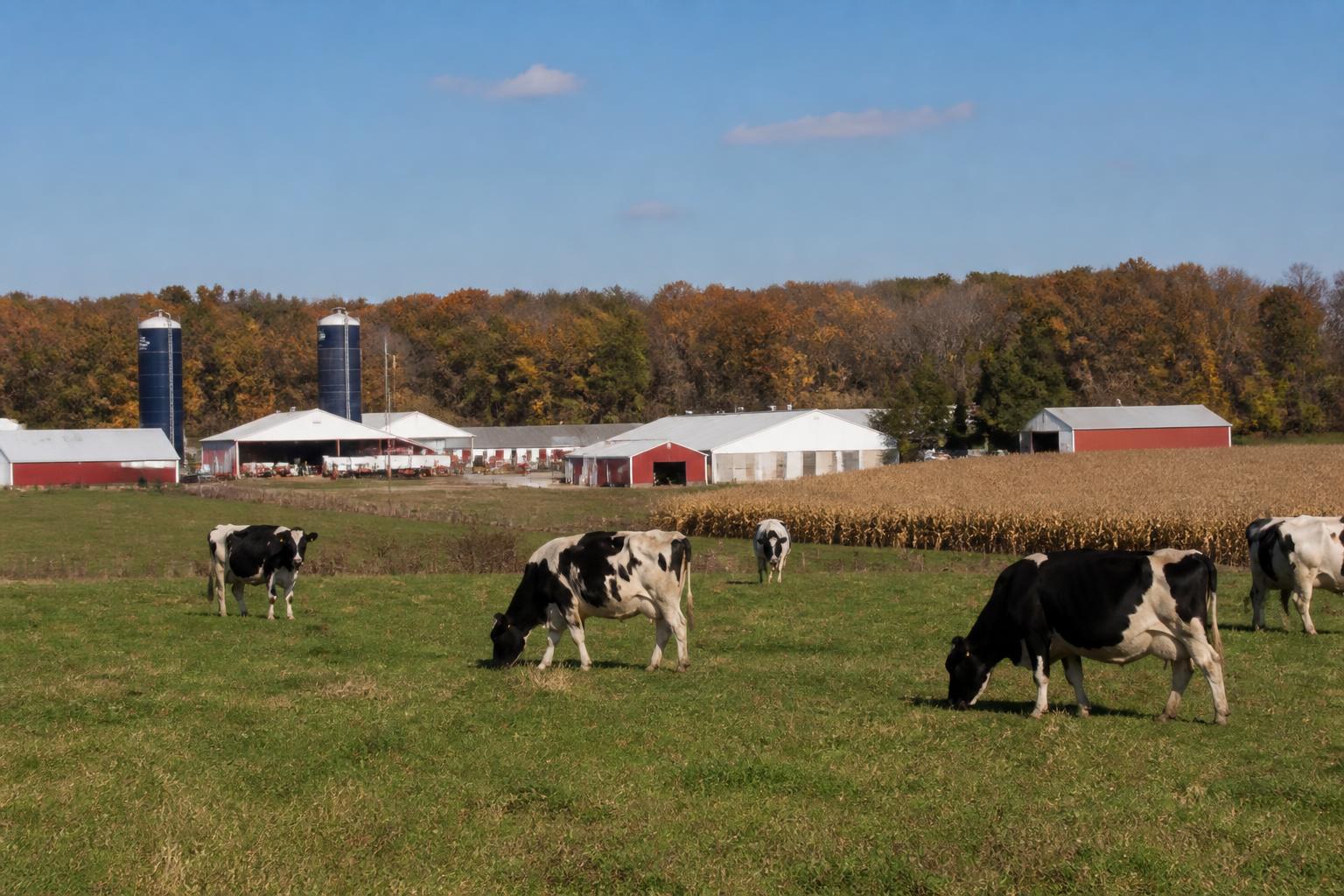 Actualización Agrícola de Connecticut: Gestión de Riesgos Invasivos y Seguridad de la Tierra en una Temporada Cambiante