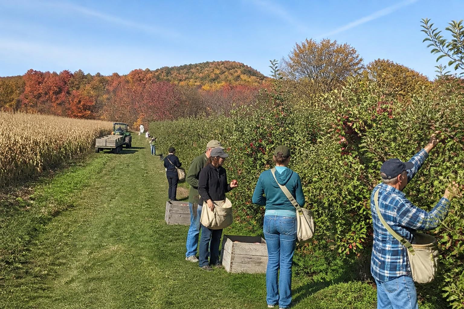 Navigating Structural Shifts in New York Agribusiness: Infrastructure and Land Use - AgroPost