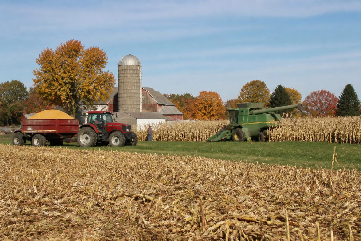 Michigan Grain Markets: Assessing Harvest Logistics and Infrastructure - AgroPost