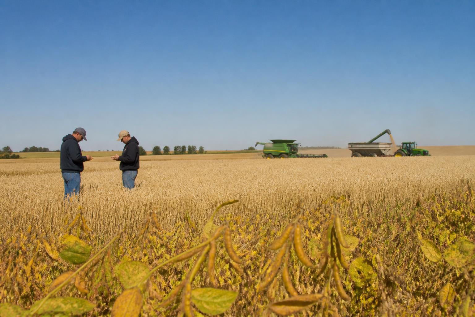Productores de Dakota del Norte observan cambios en políticas e insumos durante la cosecha otoñal - AgroPost