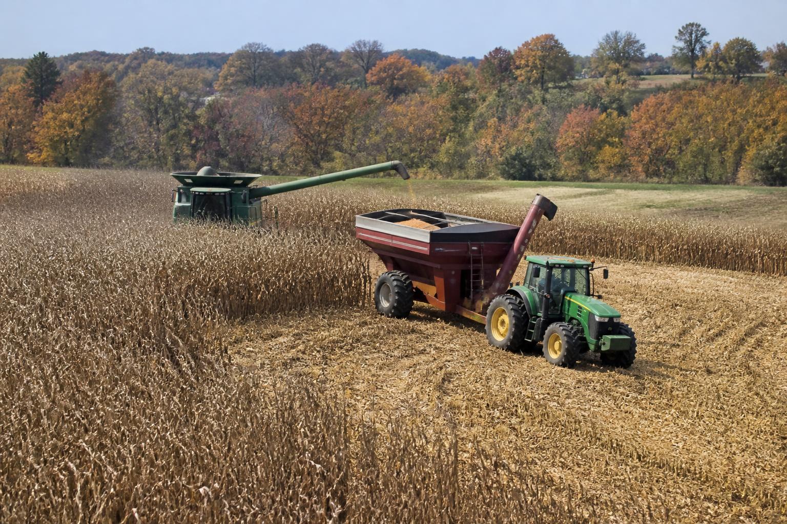 Perspectivas de Logística y Mercado en Washington durante la Cosecha de Otoño