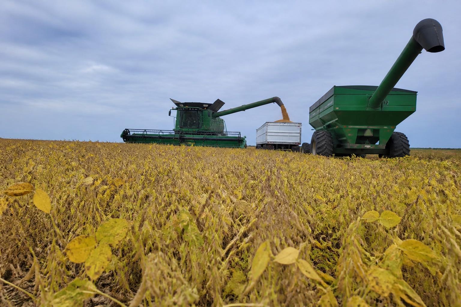 Illinois Harvest Prep: Managing Margin Pressures and Energy Costs - AgroPost