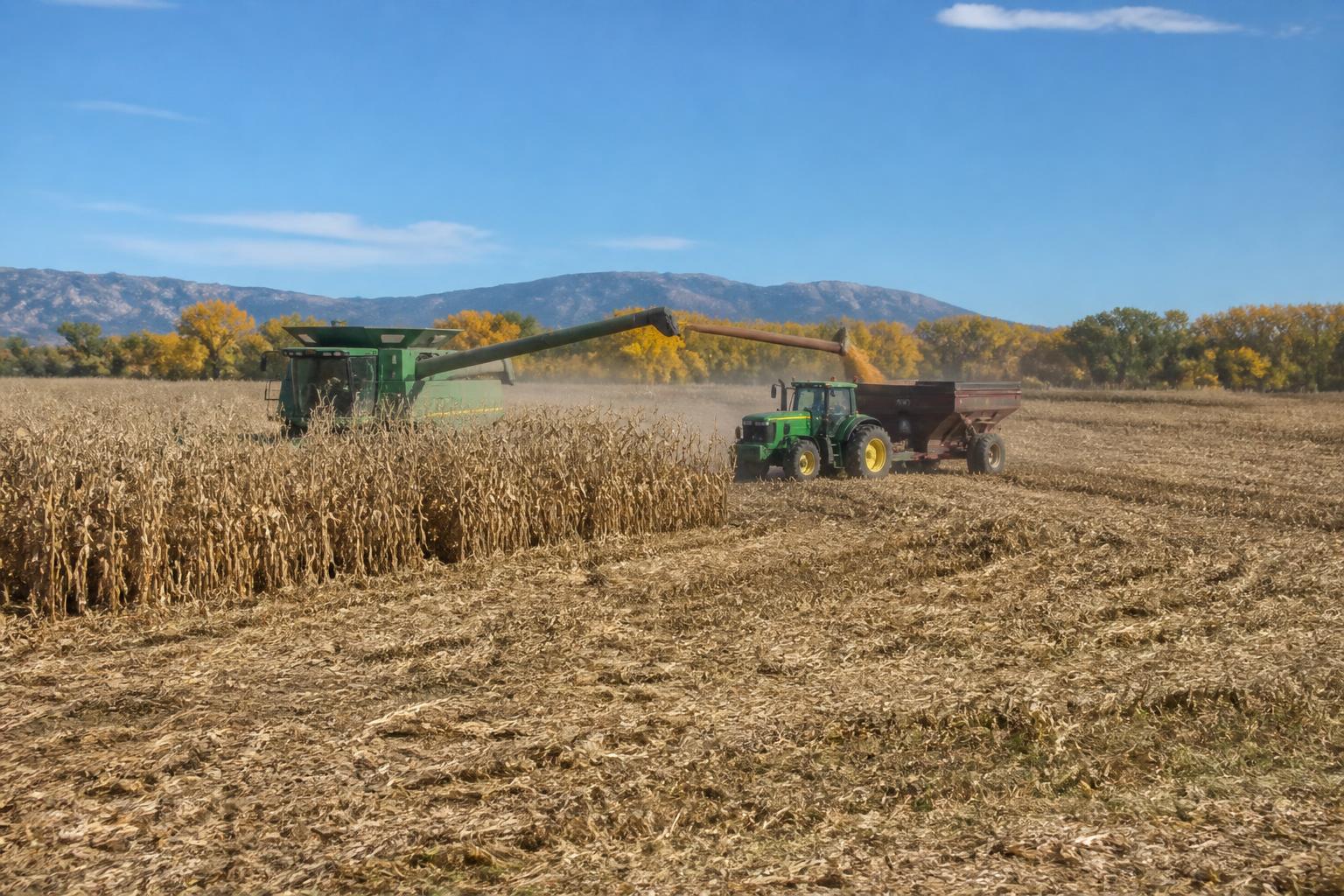 New Mexico Agriculture: Navigating Shifting Cross-Border Dynamics and Regional Logistics - AgroPost
