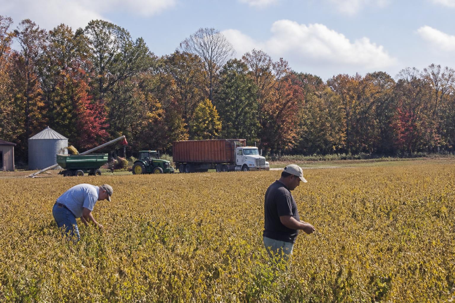 Georgia Agricultural Markets: Assessing Fall Input Logistics and Production Outlook - AgroPost