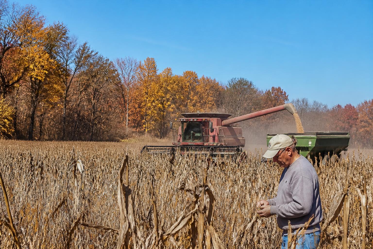Navigating Operational Risks: Fall Harvest Challenges for Alaska Producers - AgroPost