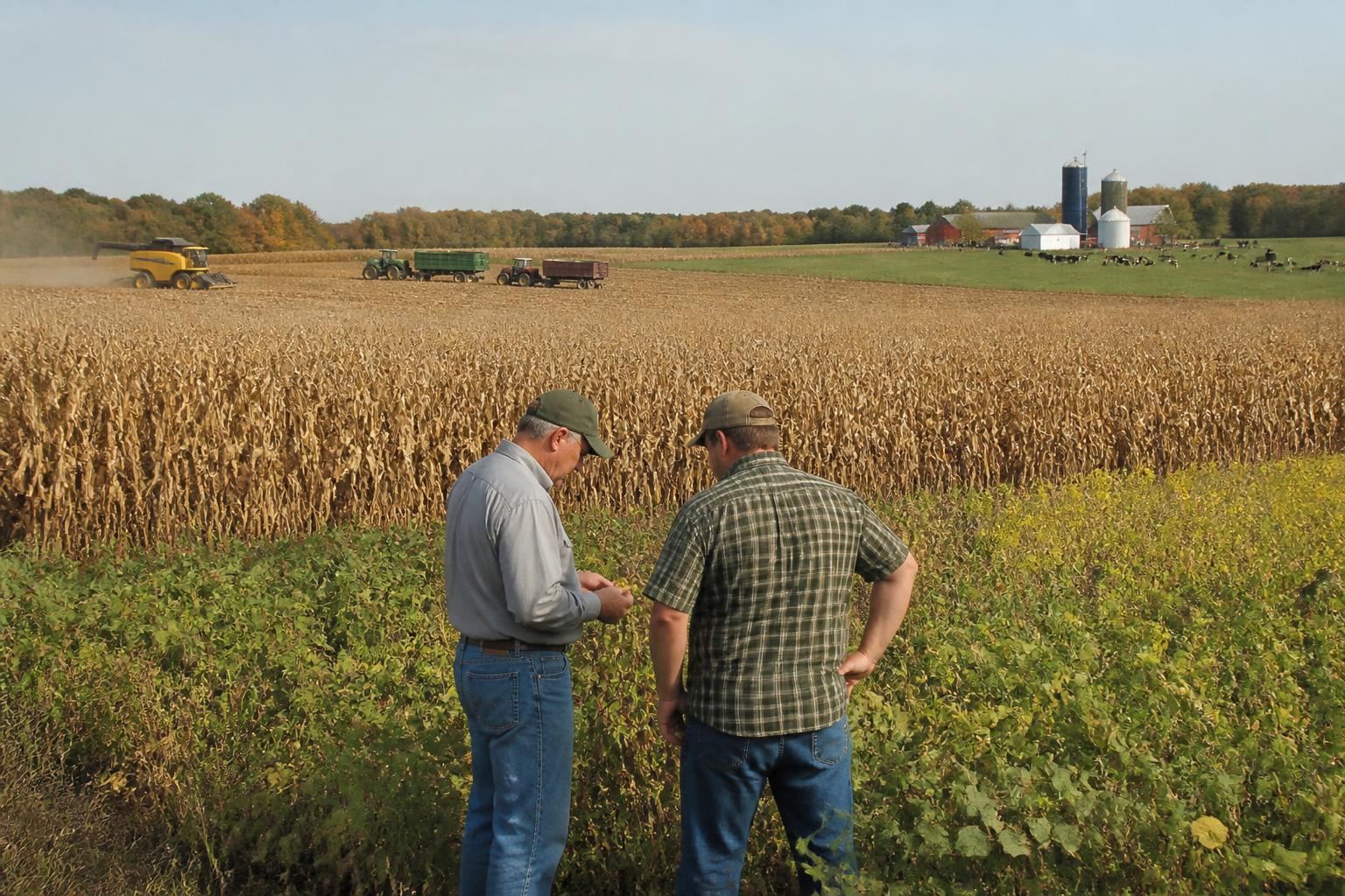 Fall Grain Management: Preparing Maine Operations for Harvest - AgroPost