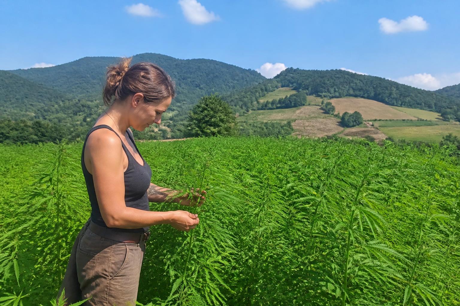 Transpòt Agrikòl nan Karolin di Nò: Eksplansyon Kapasite ak Rekiperasyon Enfrastrikti Fòme Chaj Ete - AgroPost