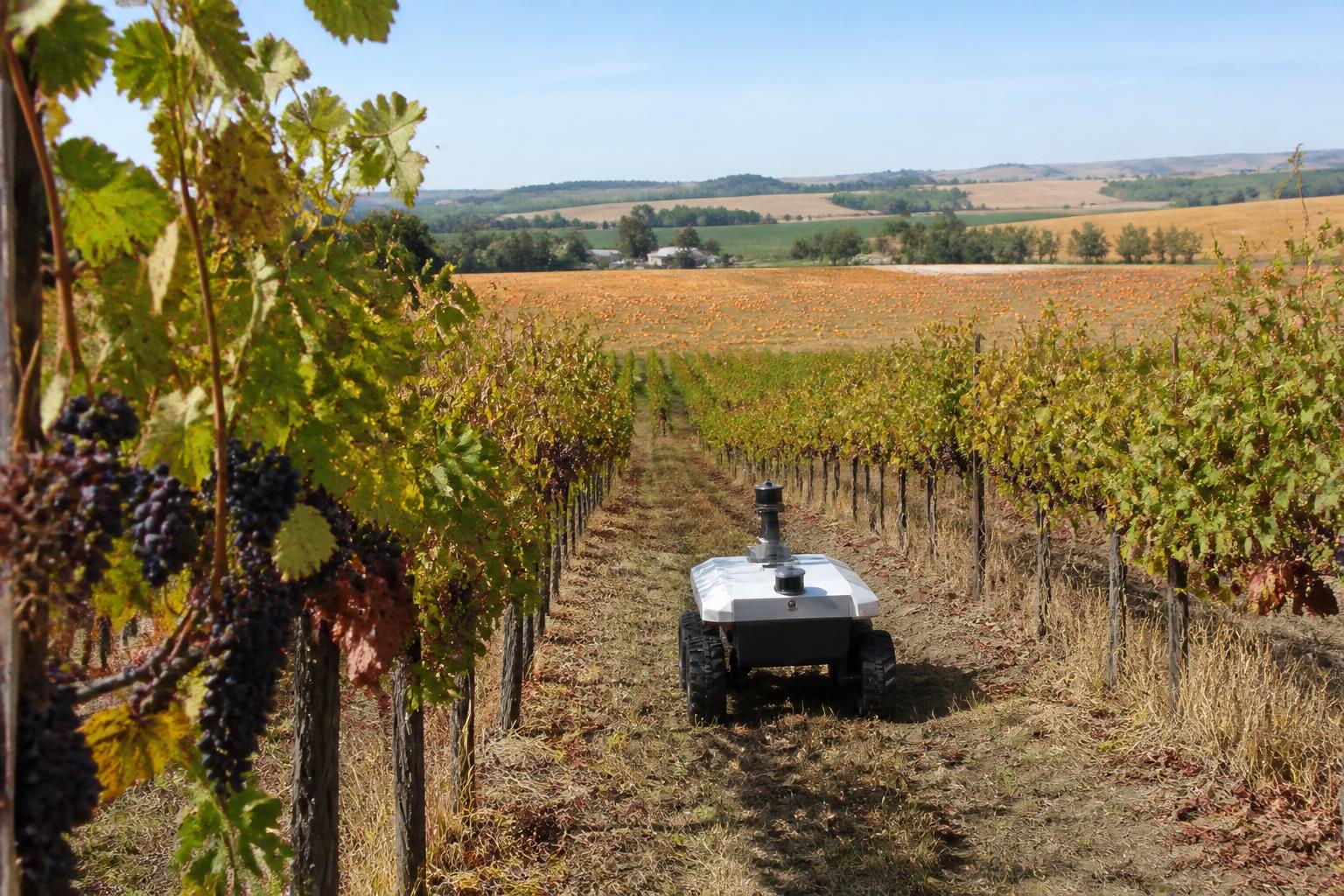 Oregon Field Protection Strategies: Innovation Amid Changing Regulatory Landscapes - AgroPost