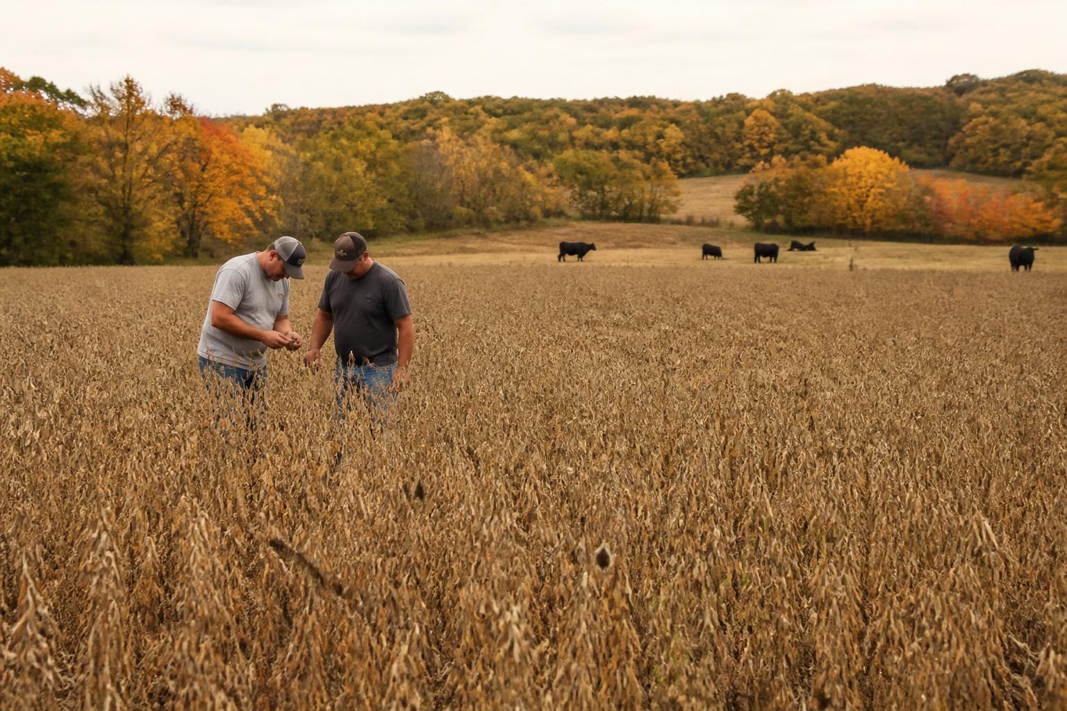 Navigating Persistent Input Costs and Field Protection in Missouri - AgroPost