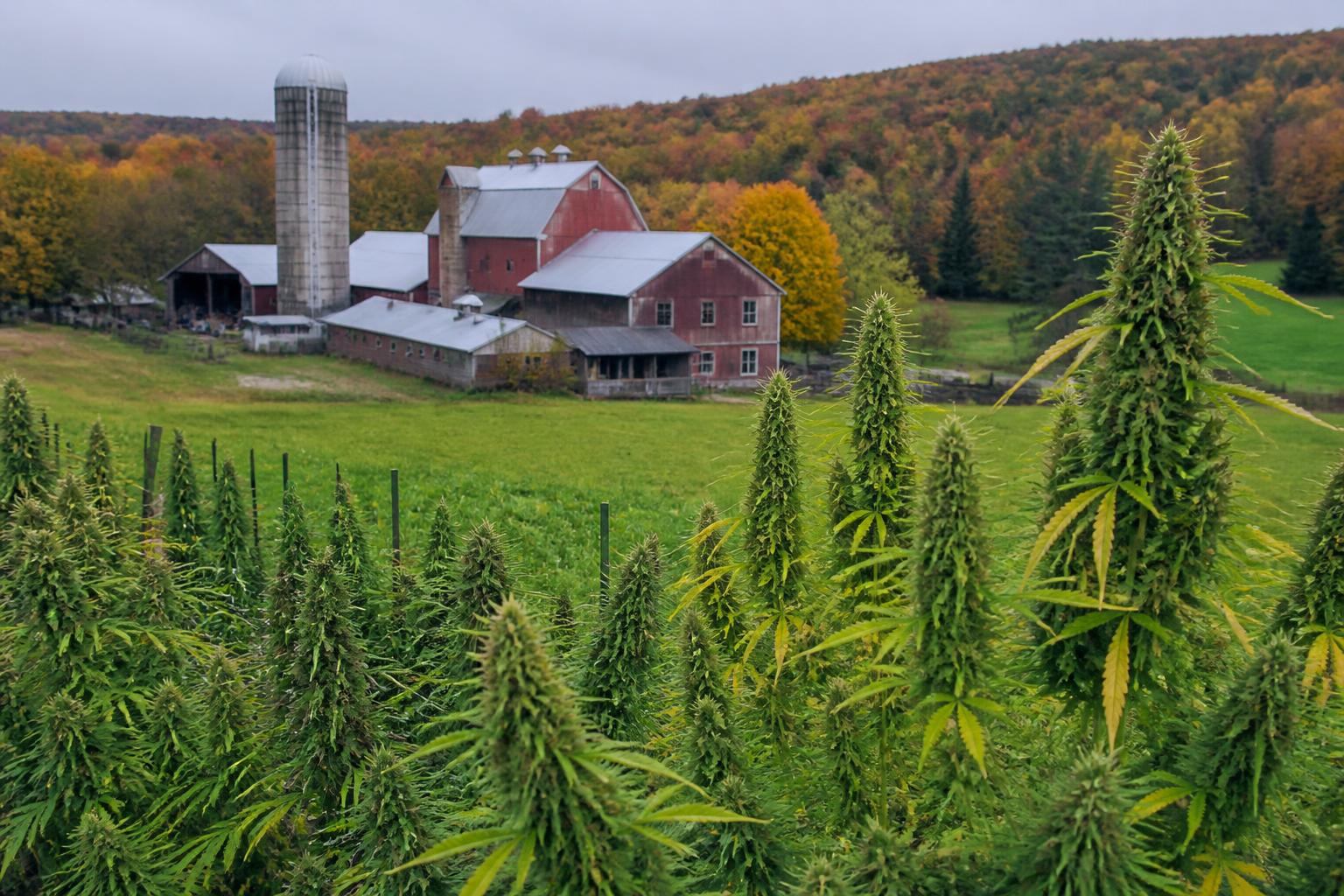 Vermont Agriculture: Navigating Transition, Technology, and Resource Shifts