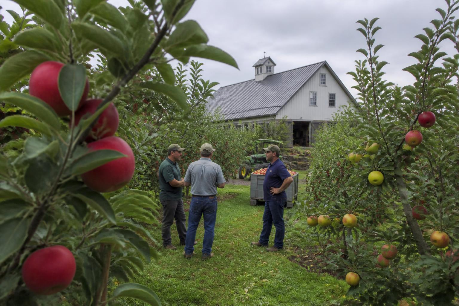Tendencias del Mercado de Heno en Michigan: Evaluando la Oferta y la Demanda Estacional - AgroPost