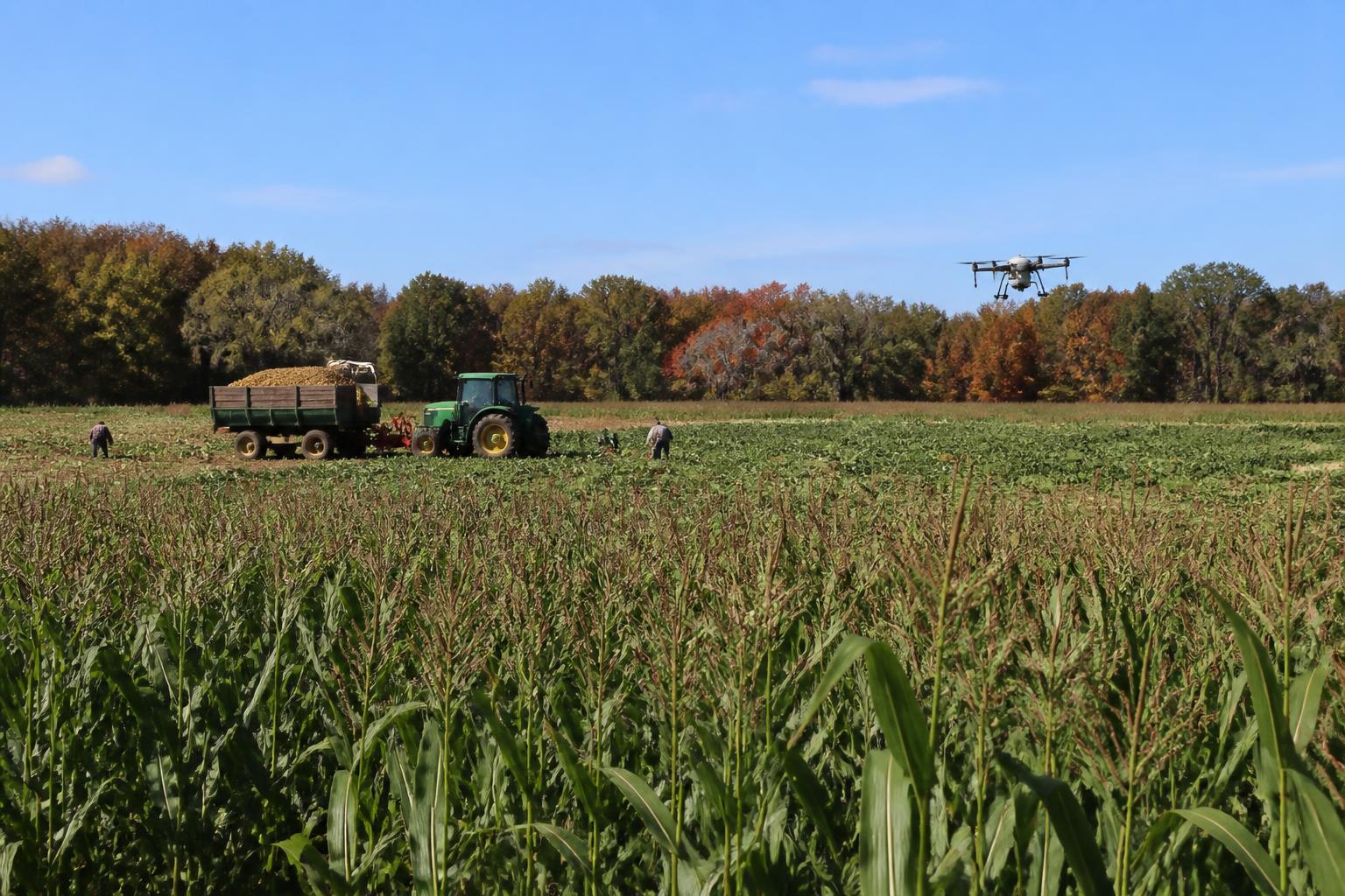 Florida Ag Logistics Update: Strengthening Supply Chains for Fall Harvest
