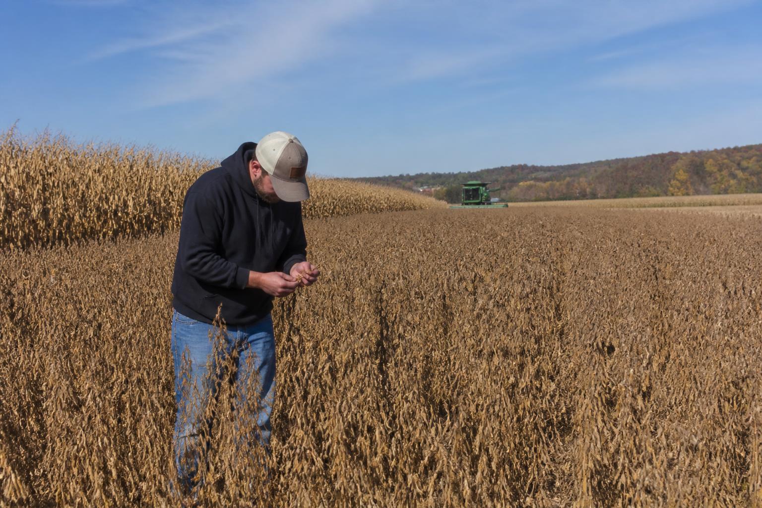 Productores de Delaware evalúan la volatilidad del mercado al comenzar la temporada de cosecha - AgroPost