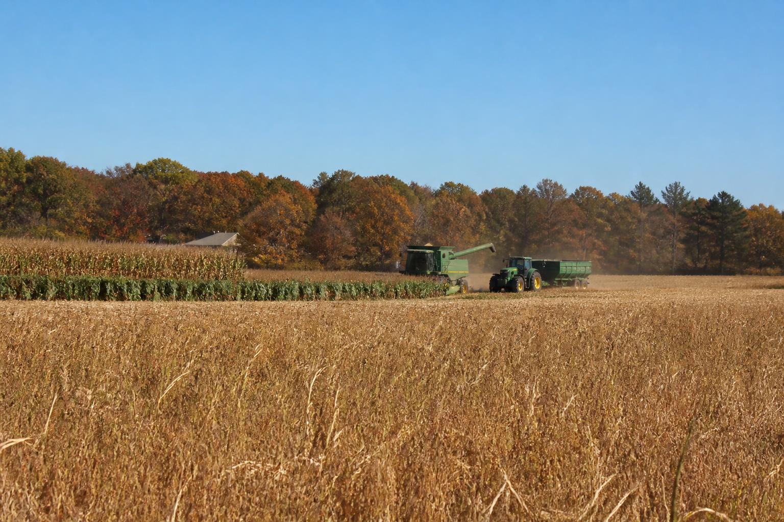 Virginia Grain Sector Focus: Balancing Efficiency and Export Infrastructure - AgroPost