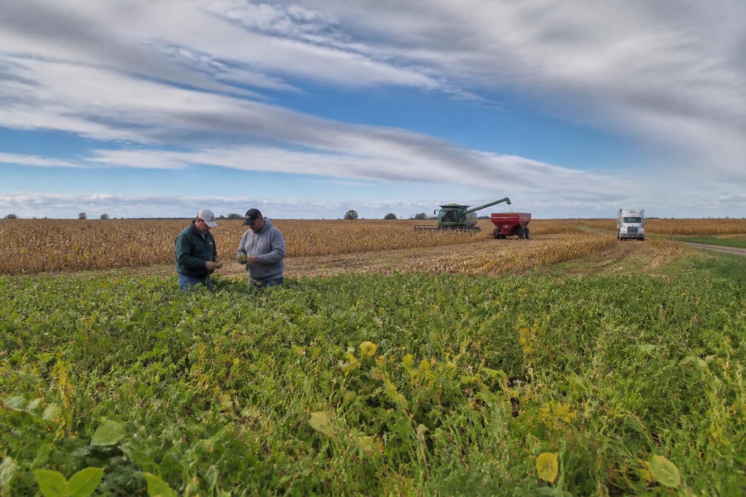 Fall Outlook: Balancing Field Management and Market Shifts in Iowa - AgroPost