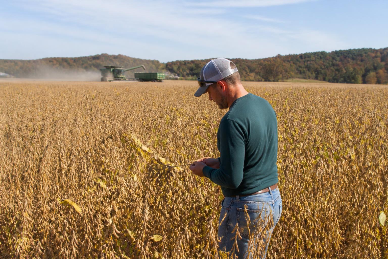 Tennessee Crop Protection: Managing Drift and Asset Security Amidst Harvest Season - AgroPost